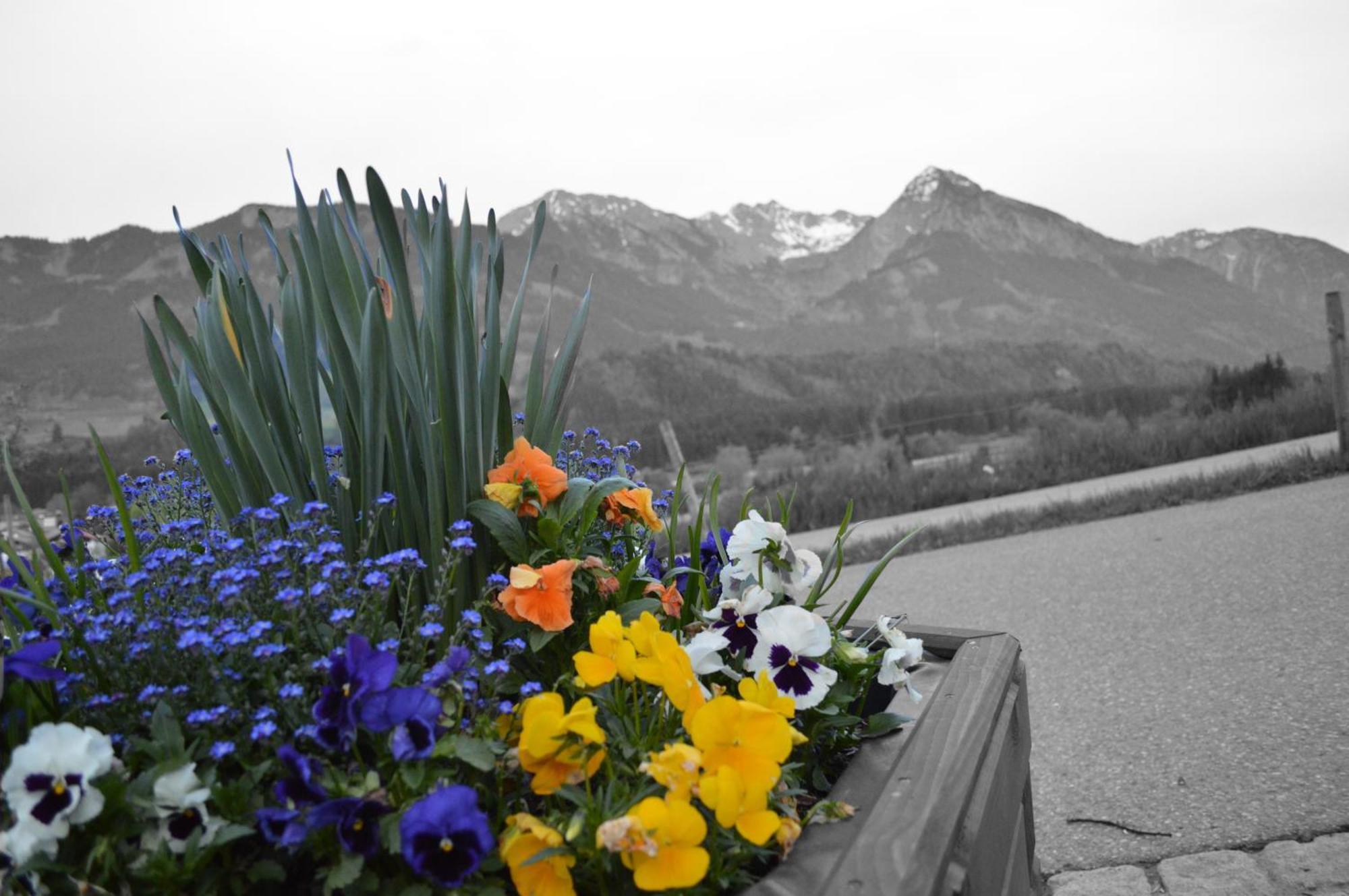 Hotel Alpenblick Fischen im Allgaeu Buitenkant foto