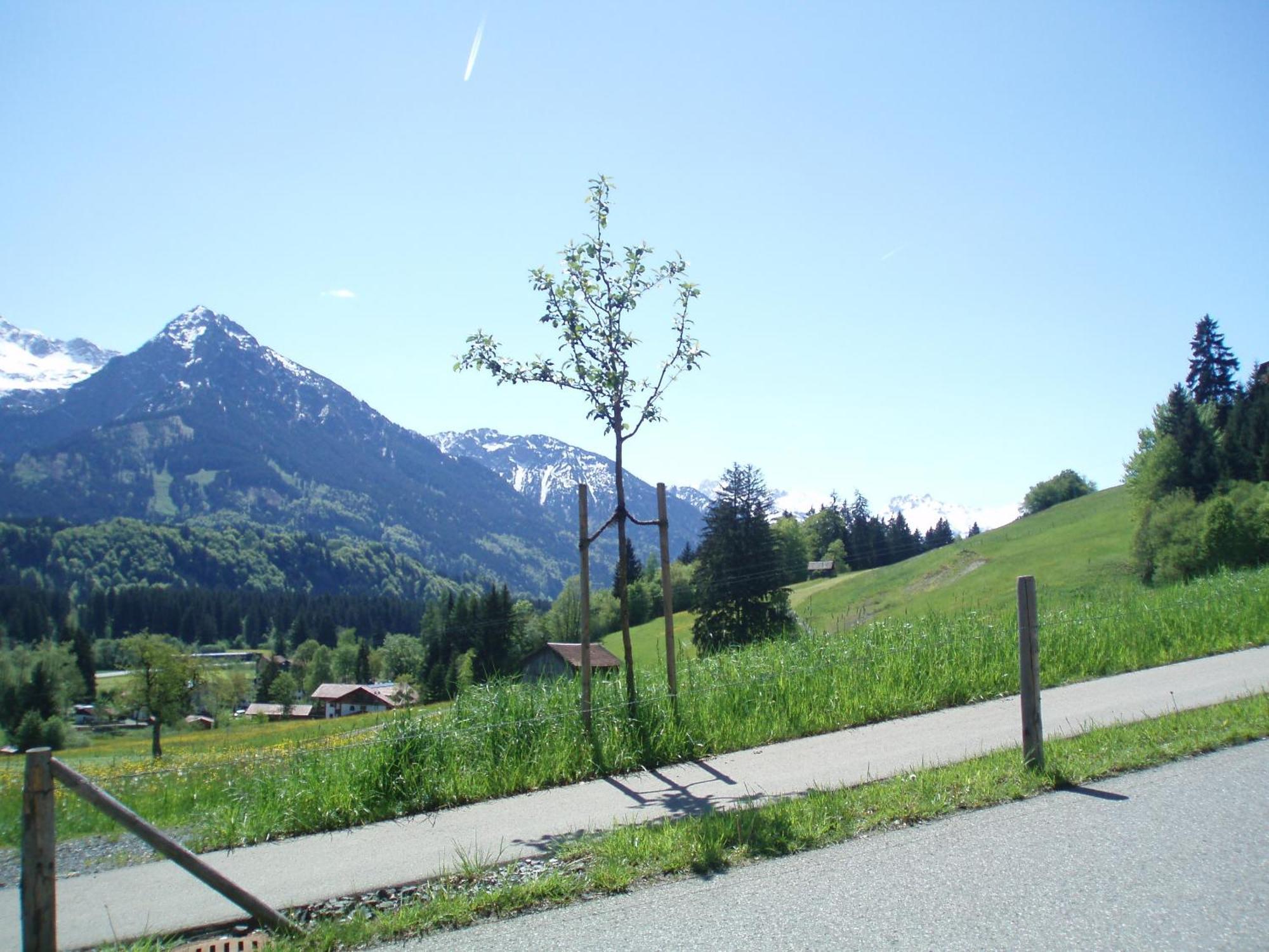 Hotel Alpenblick Fischen im Allgaeu Buitenkant foto