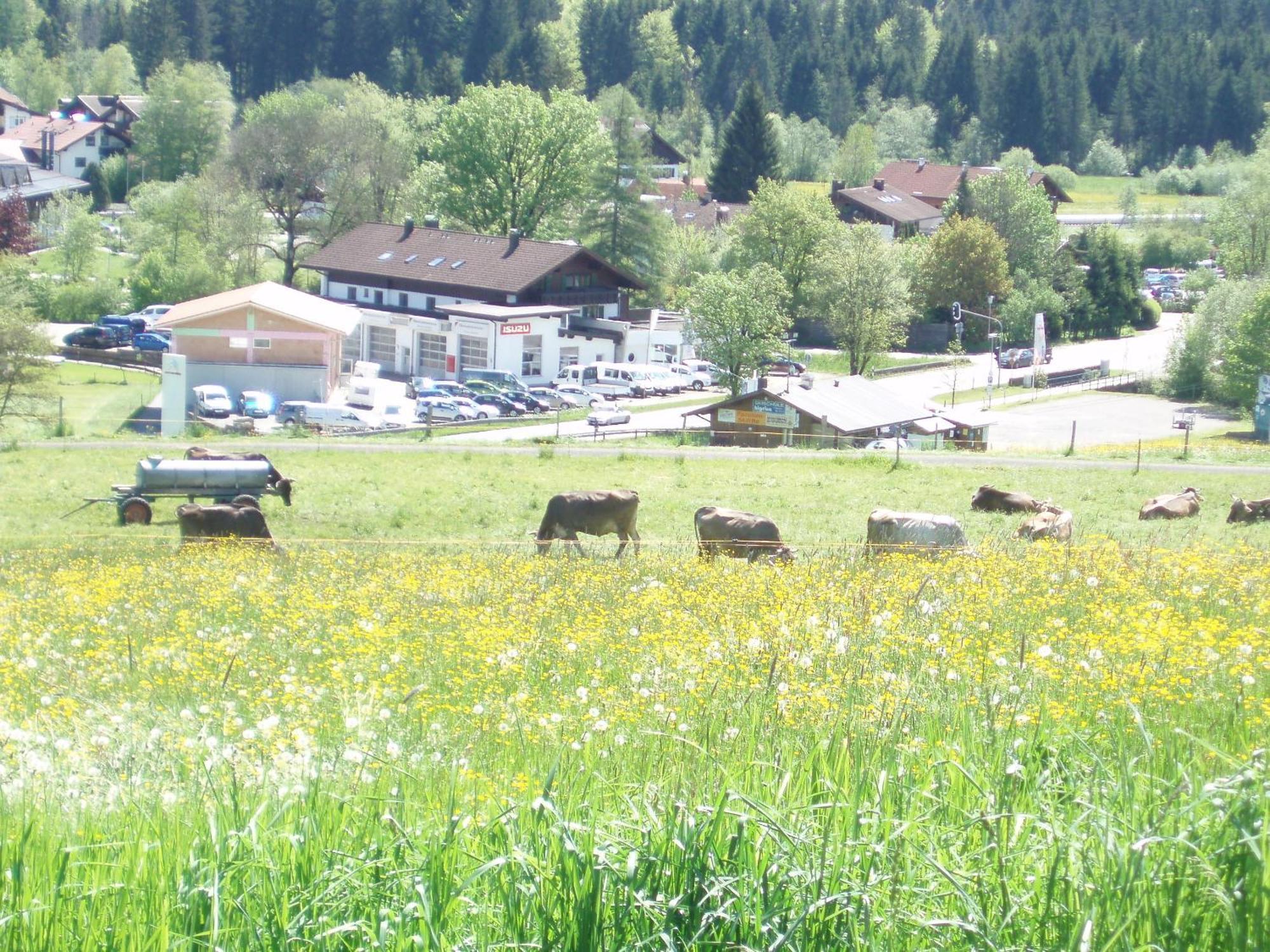 Hotel Alpenblick Fischen im Allgaeu Buitenkant foto